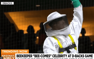 The Buzz About Bees and Baseball